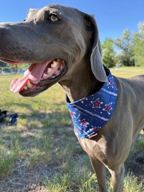 Mad Drool Companion™ Animal Bandanas - Americana