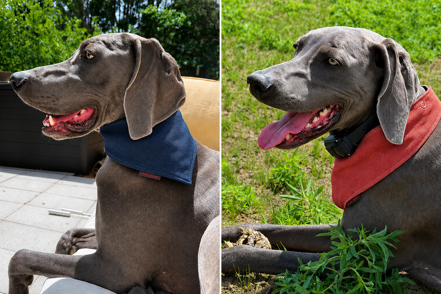 Mad Drool Companion™ Animal Bandanas - Hemp & Cotton Collection