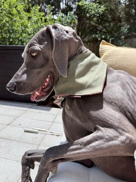 Mad Drool Companion™ Animal Bandanas - Hemp & Cotton Collection