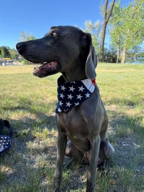 Mad Drool Companion™ Animal Bandanas - Americana