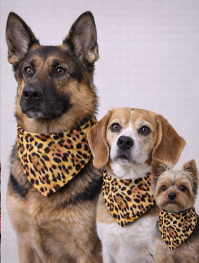 Mad Drool Companion™ Animal Bandanas
