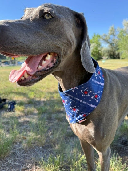 Mad Drool Companion™ Animal Bandanas - Americana