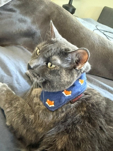 Mad Drool Companion™ Animal Bandanas - Fox Print