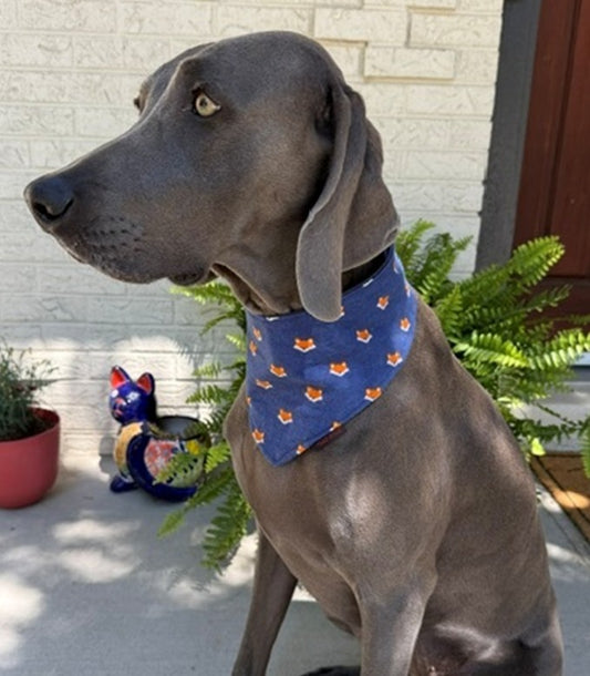 Mad Drool Companion™ Animal Bandanas - Fox Print