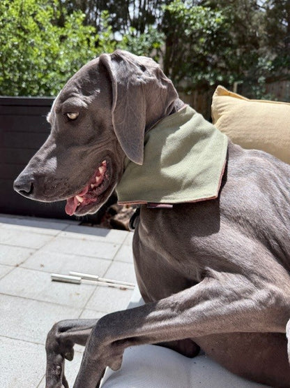 Mad Drool Companion™ Animal Bandanas - Hemp & Cotton Collection