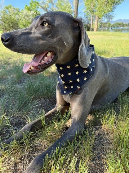Mad Drool Companion™ Animal Bandanas - Americana