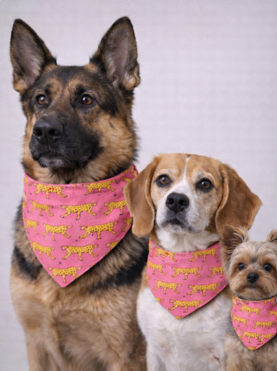 Mad Drool Companion™ Animal Bandanas