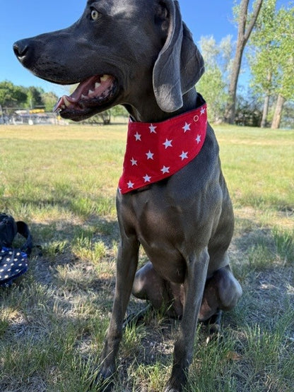 Mad Drool Companion™ Animal Bandanas - Americana